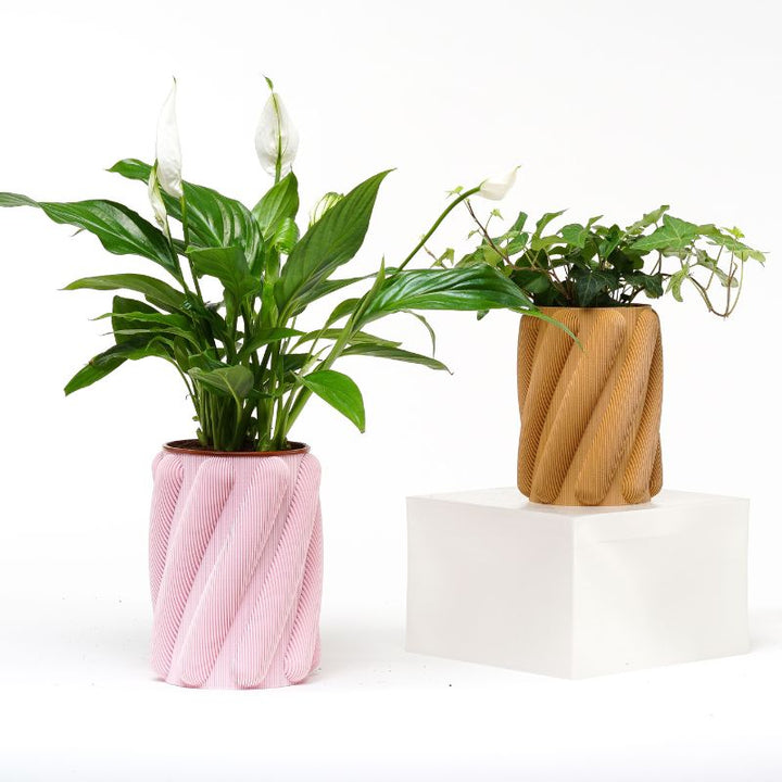 Kowafatcompany Spaghetti Vase - D. Nation