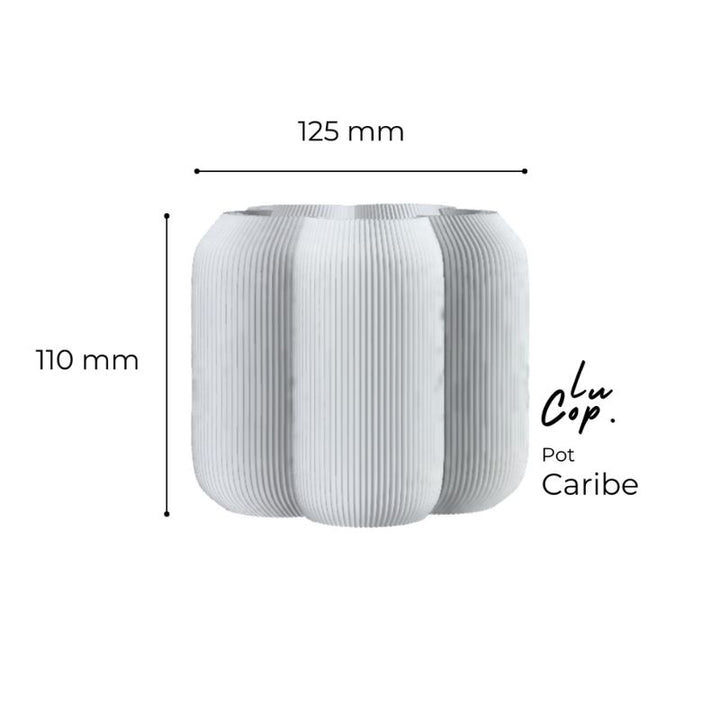 Lu Cop CARIBE POT - Beige - D. Nation