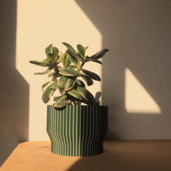 Lu Cop NIZA POT - Green - D. Nation